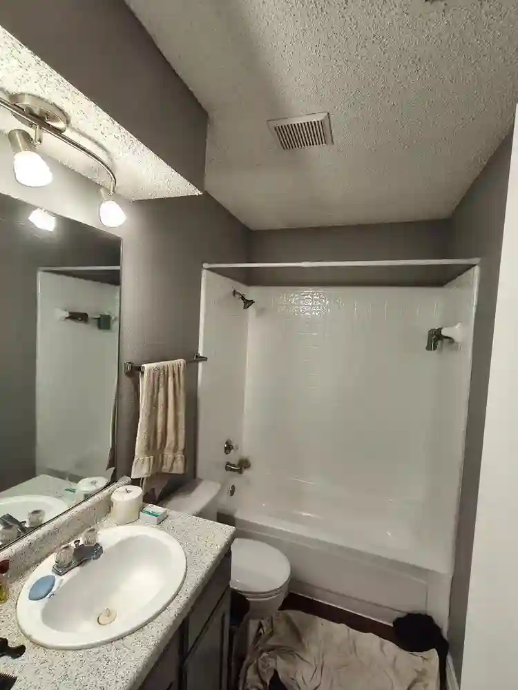 Roommate wanted