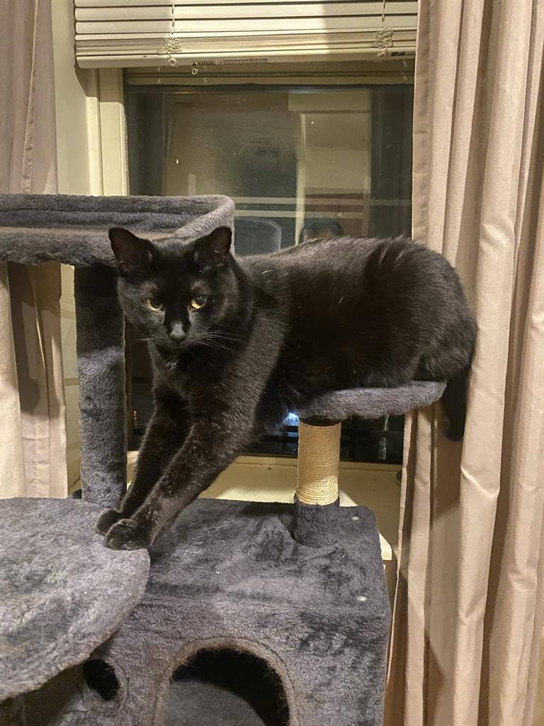 Looking for room, ideally by Sept 5