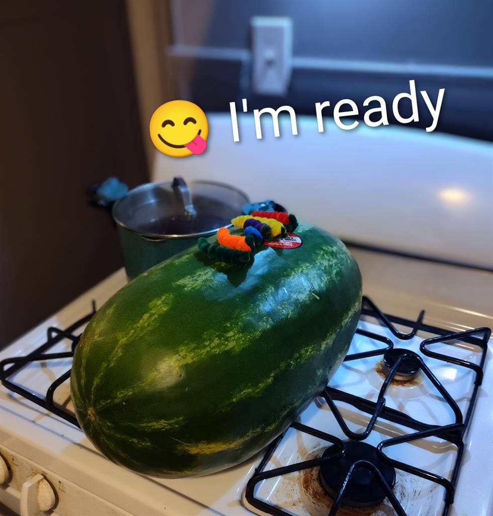 Looking to rent