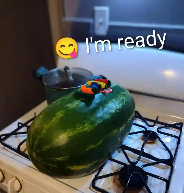 Looking to rent