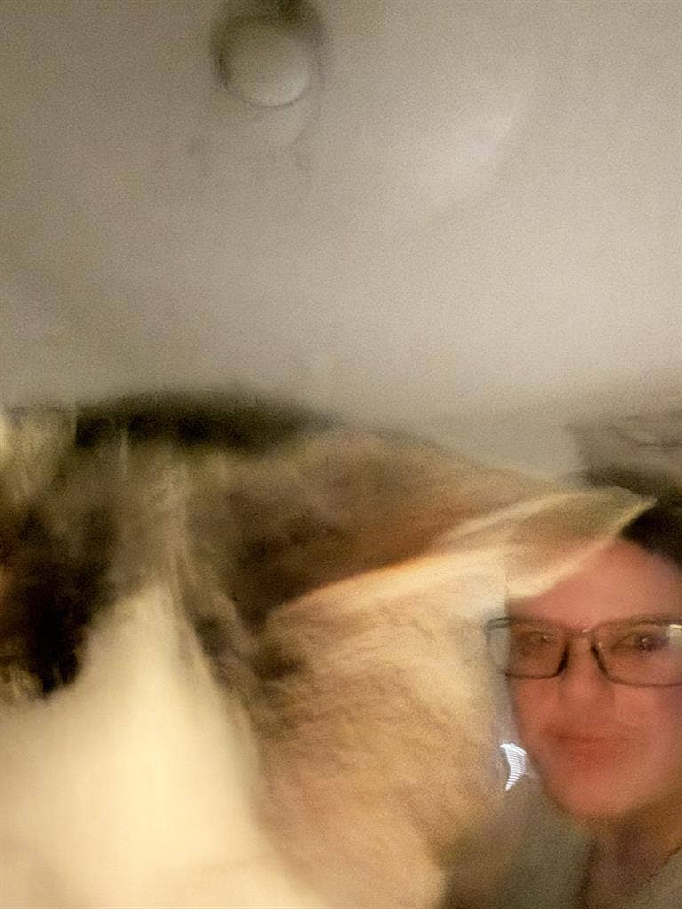 Disabled and cat owner