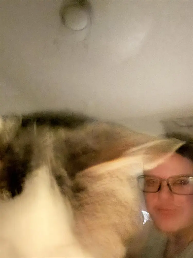 Disabled and cat owner