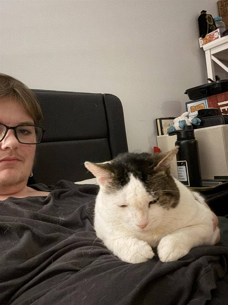 Disabled and cat owner