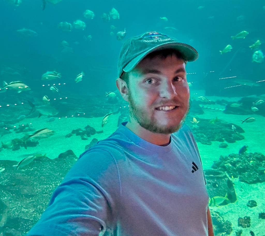 Looking for professional roommate