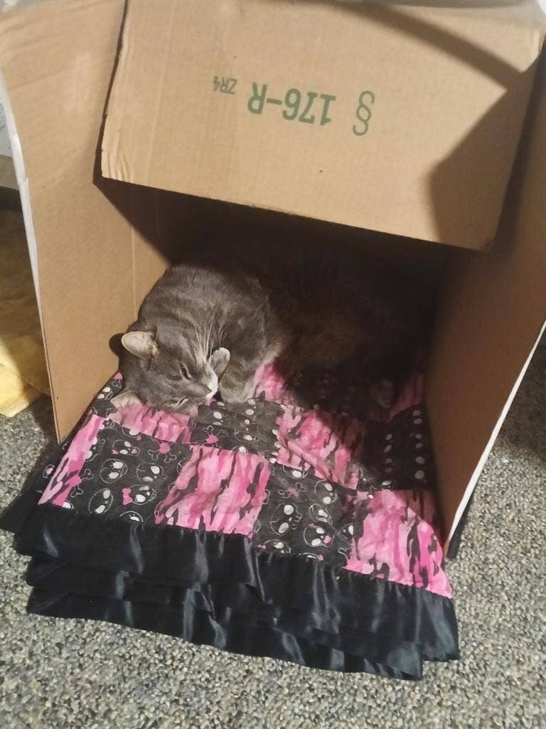 Looking for a room with a roommate