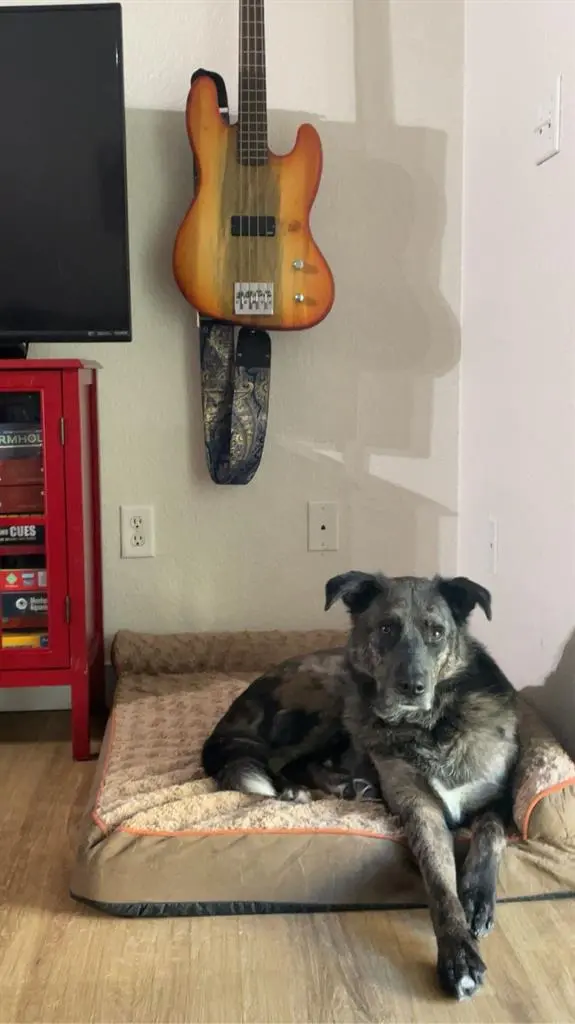 I am looking for a room/roomates