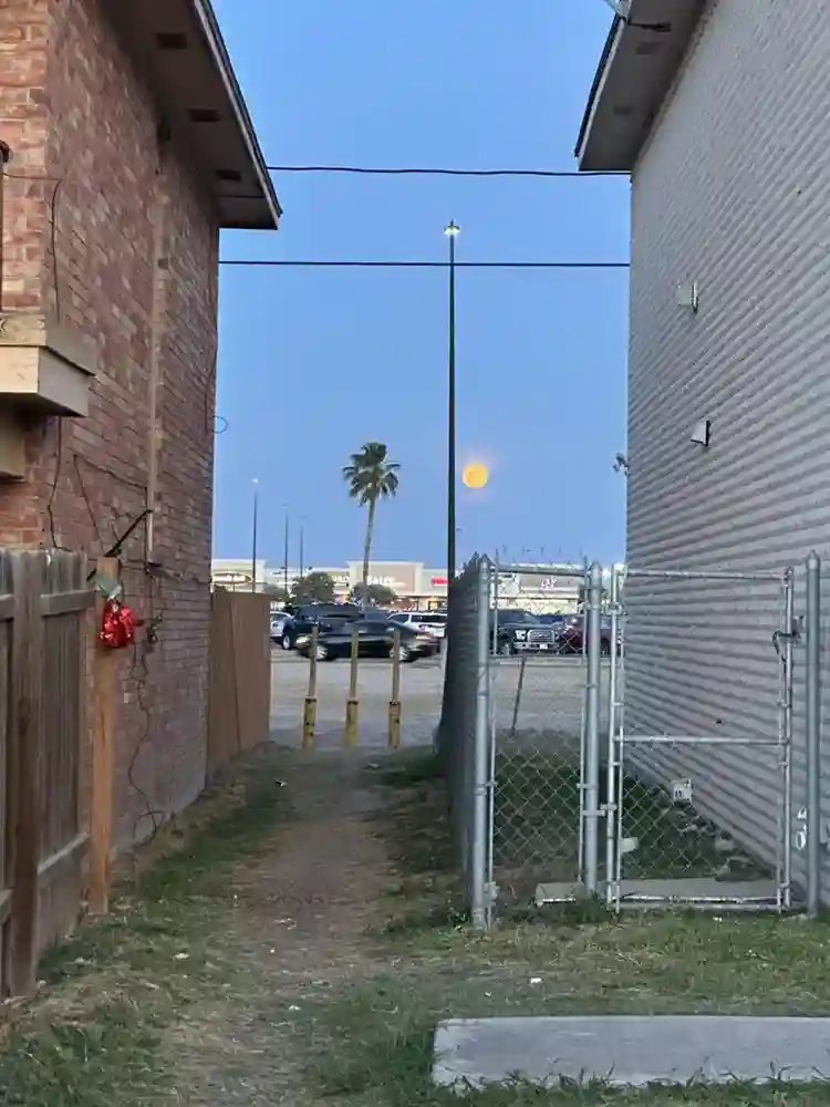 Looking for room