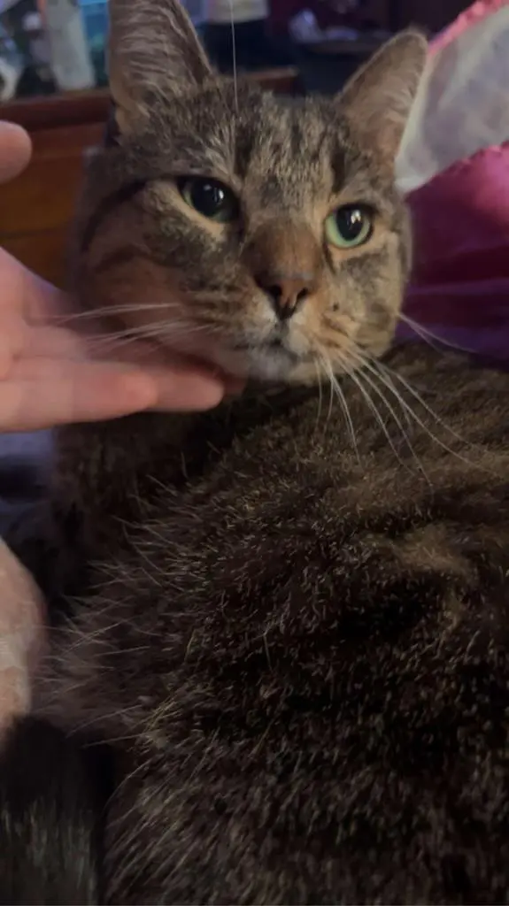 Me, My Girlfriend and my cat!