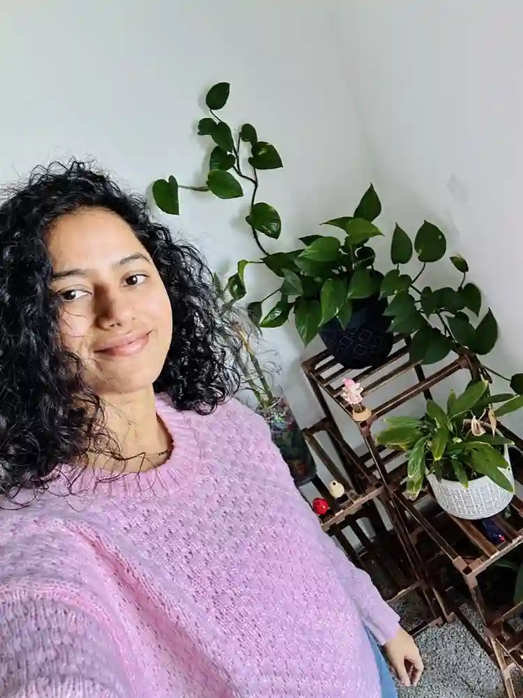 I am looking for a Room in Surprise