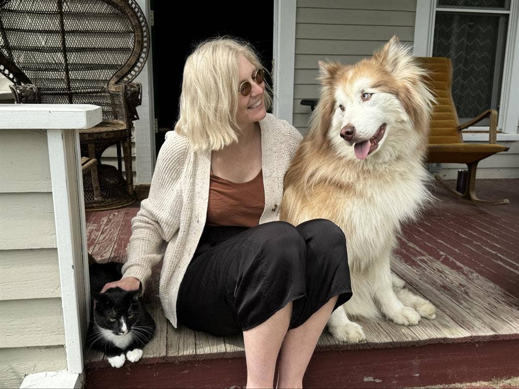 Chill human, cat & part-time dog