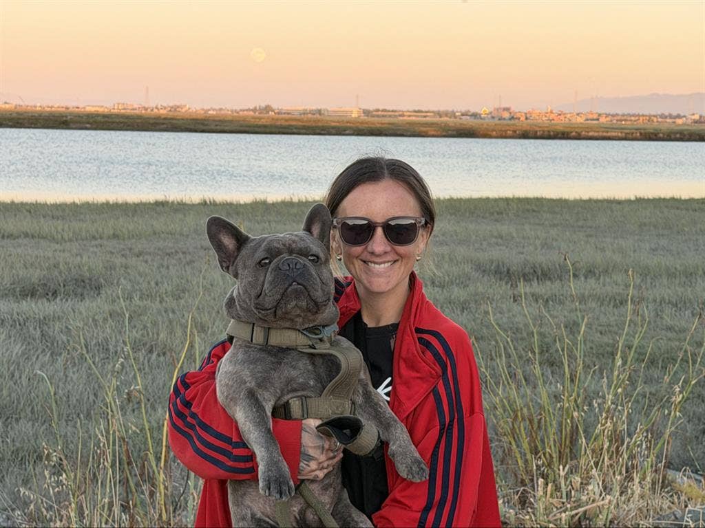 Looking For 1B1Ba Apt Pet Friendly