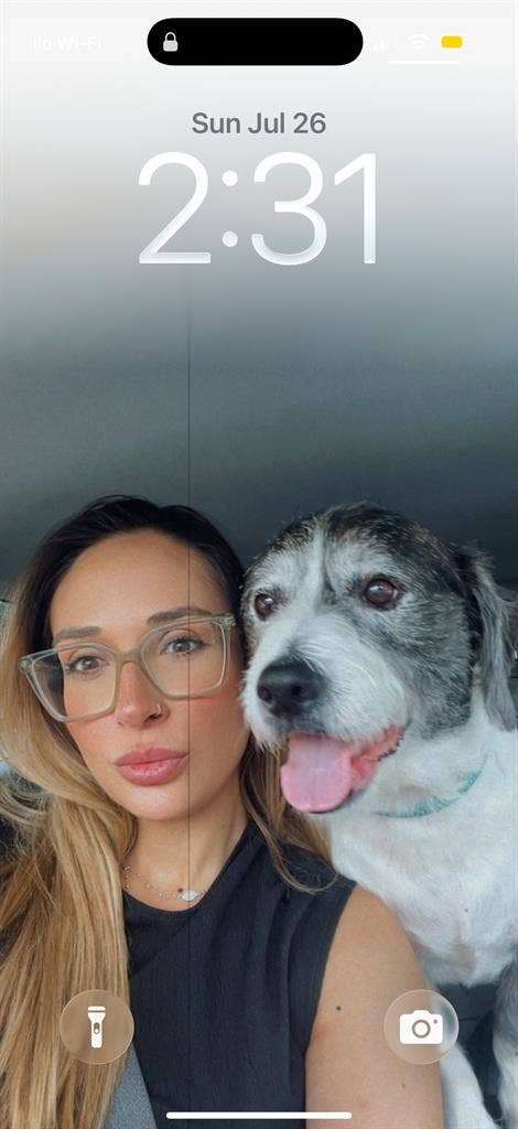 Looking for a dog friendly home