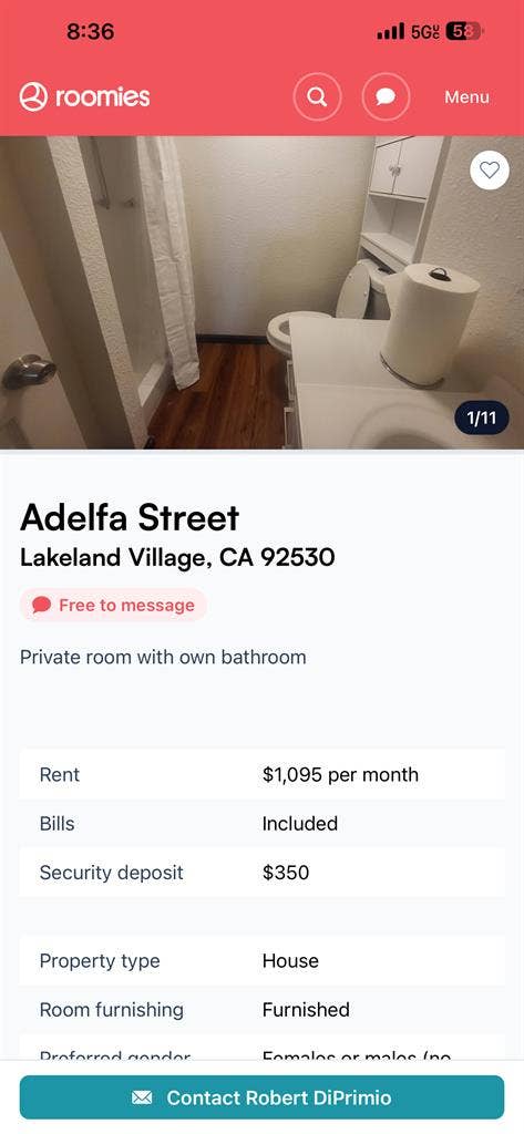 Dog friendly