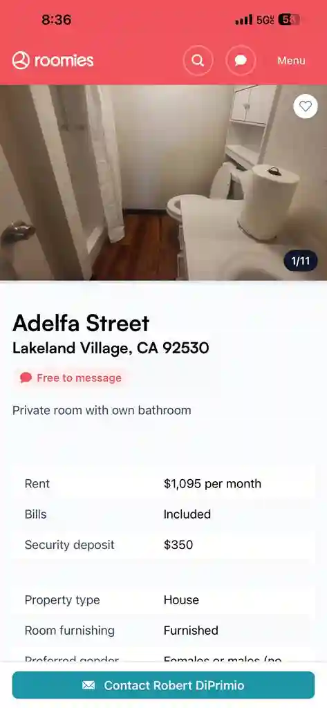 Dog friendly