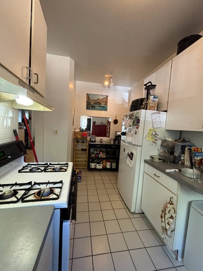 Andersonville Apt for Sublet (1 br)