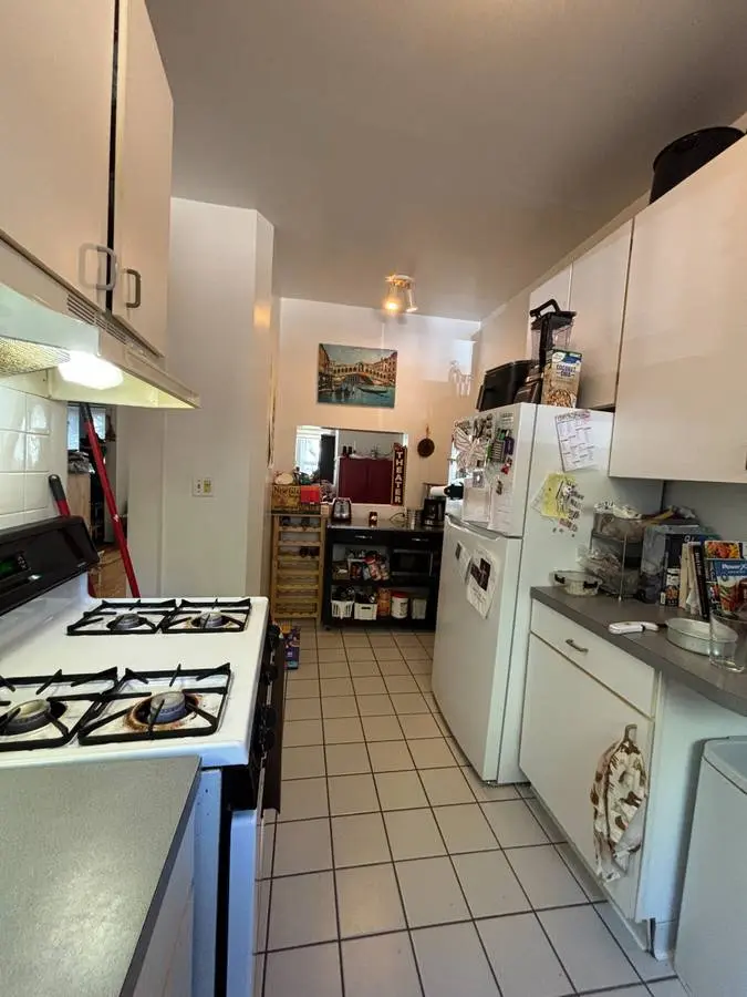 Andersonville Apt for Sublet (1 br)