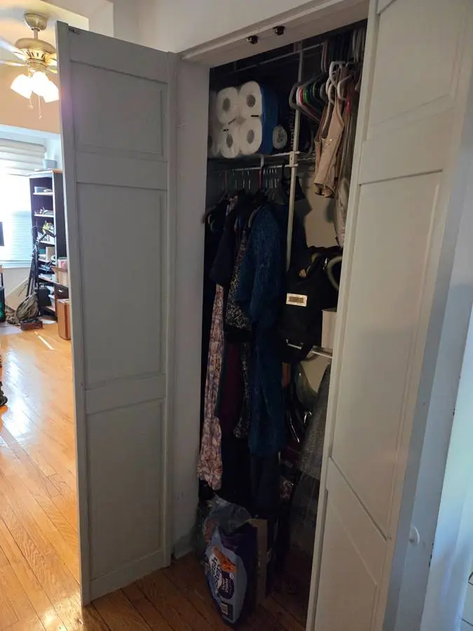 Andersonville Apt for Sublet (1 br)