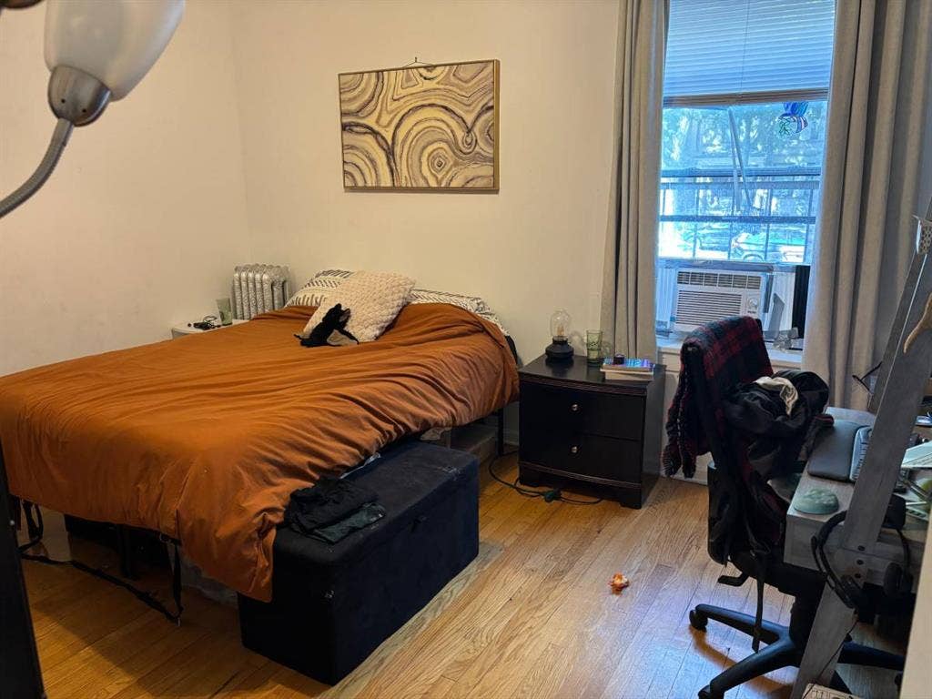 Andersonville Apt for Sublet (1 br)