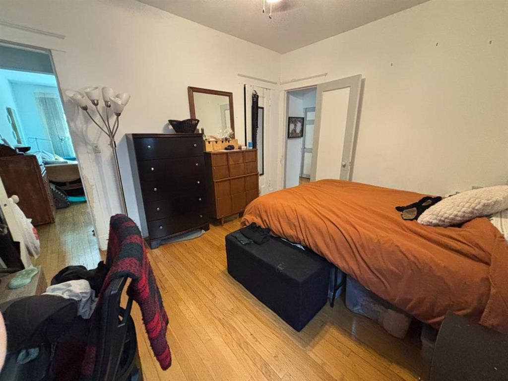 Andersonville Apt for Sublet (1 br)