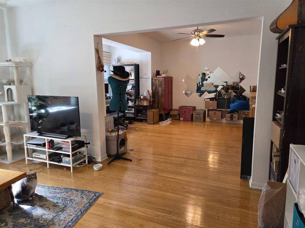 Andersonville Apt for Sublet (1 br)