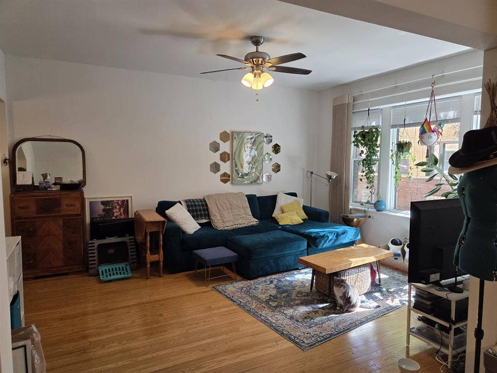 Andersonville Apt for Sublet (1 br)
