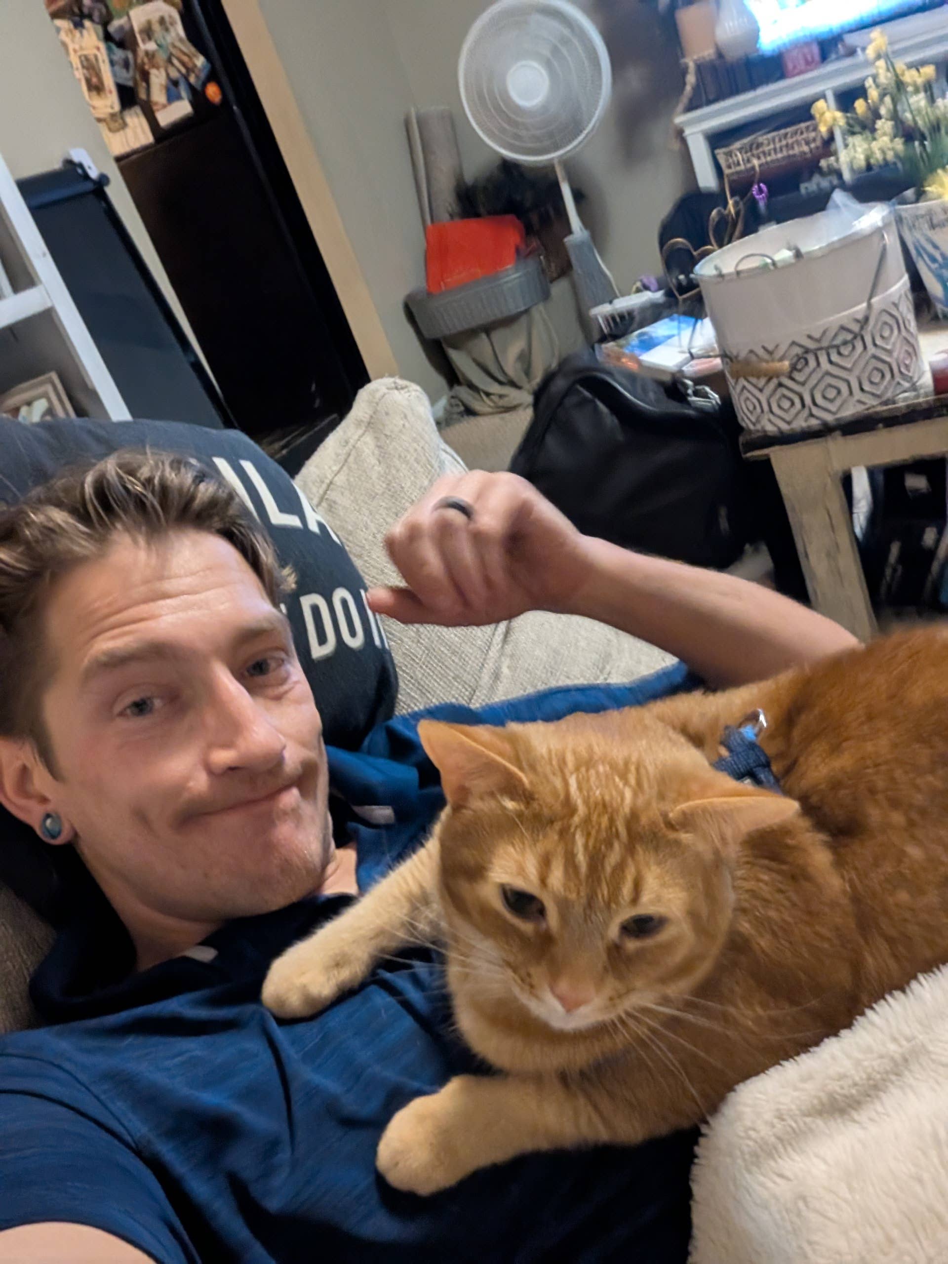 Professional Male looking for room