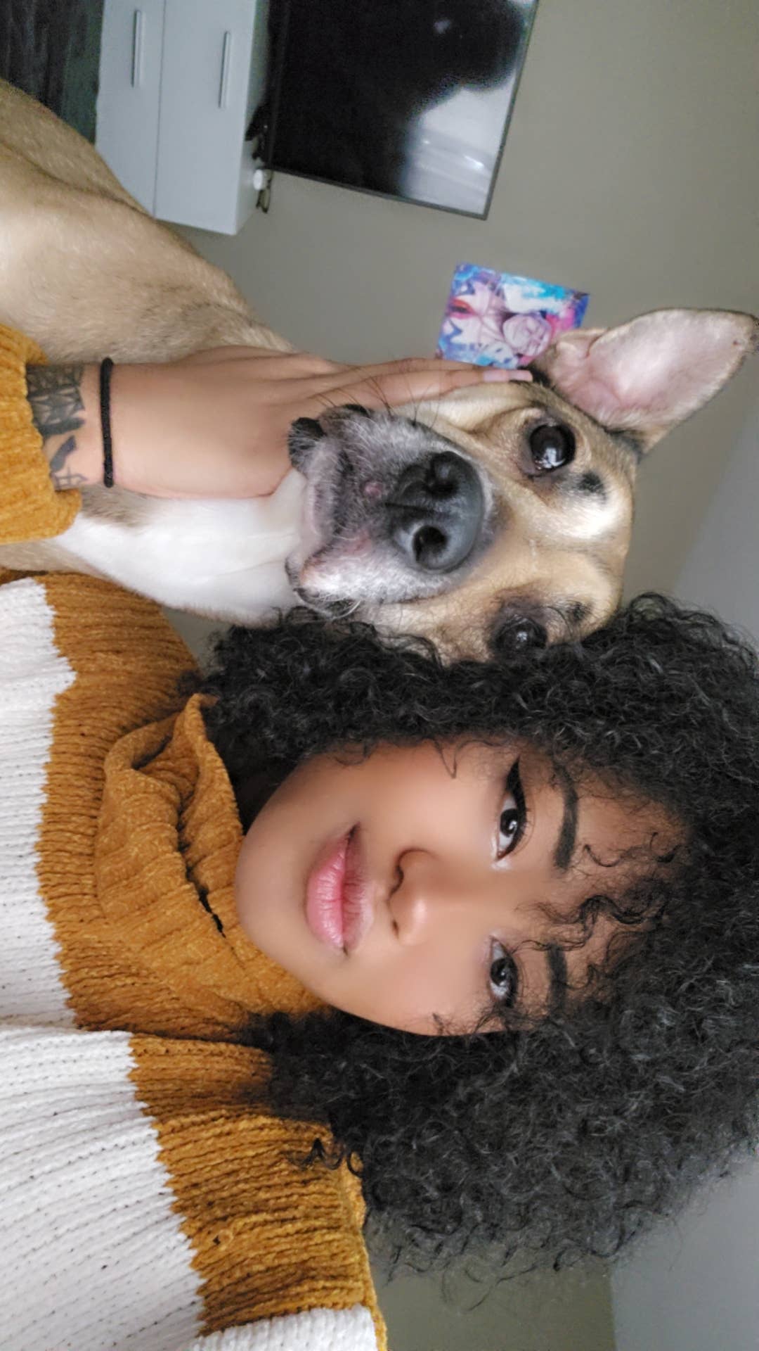 Responsible, Clean & DogFriendly