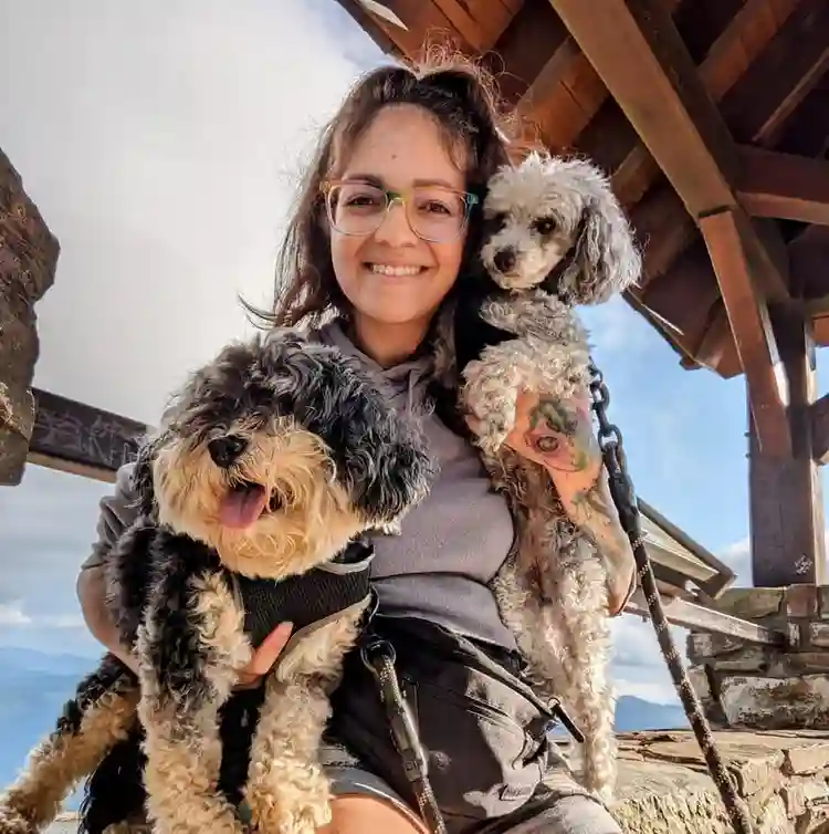iso dog friendly rental