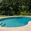 Pool and woods