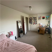 ROOM FOR SUMMER SUBLET IN CAMPBELL