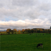 Idyllic Farm near Bawnboy, Co Cavan