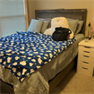 Roommate Wanted!