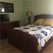 South Tampa room available