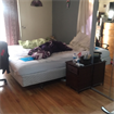 UNM/NobHill Room for Rent $