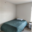 Looking for a male roommate