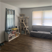 Roommate needed