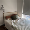 One room in 3BR in Greenpoint