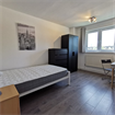 Lovely double room available in Feb