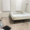 Roommate needed asap