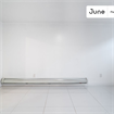 1 BR in New York City