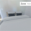 6 BR in Boston