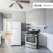 4 BR in Boston