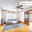 4 BR in Boston