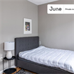 5 BR in Boston