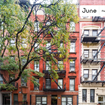 1 BR in New York City