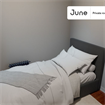 3 BR in New York City