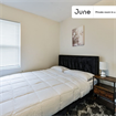 3 BR in Boston