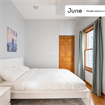 3 BR in Chicago
