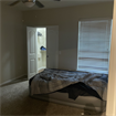 I am looking for a roommate