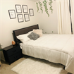 Large furnished room available